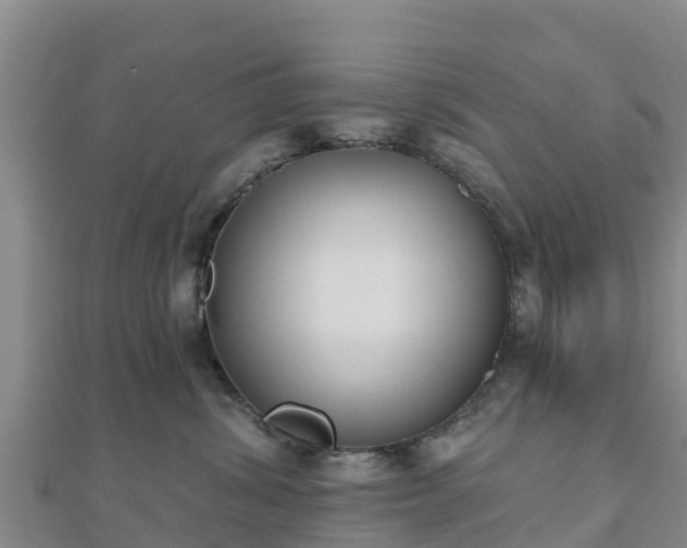 X0000110720428200906191509
