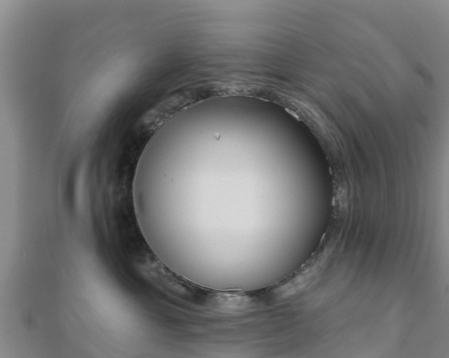X0000110720429200906191509