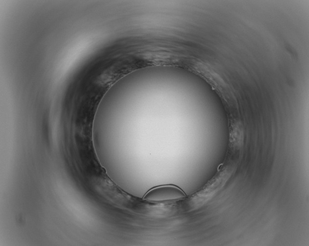 X0000110720430200906191509