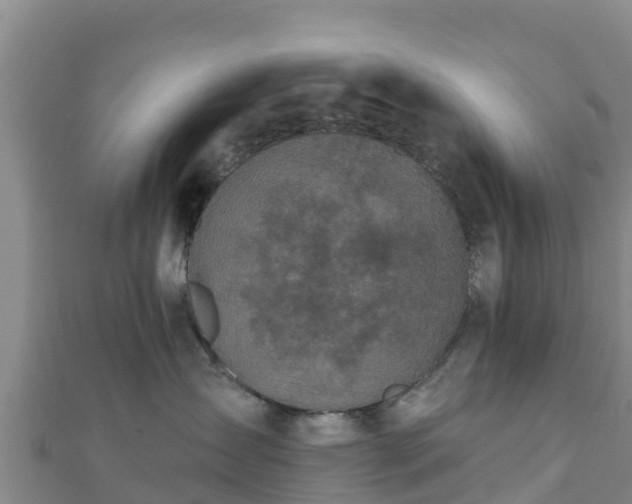 X0000110720431200906191509