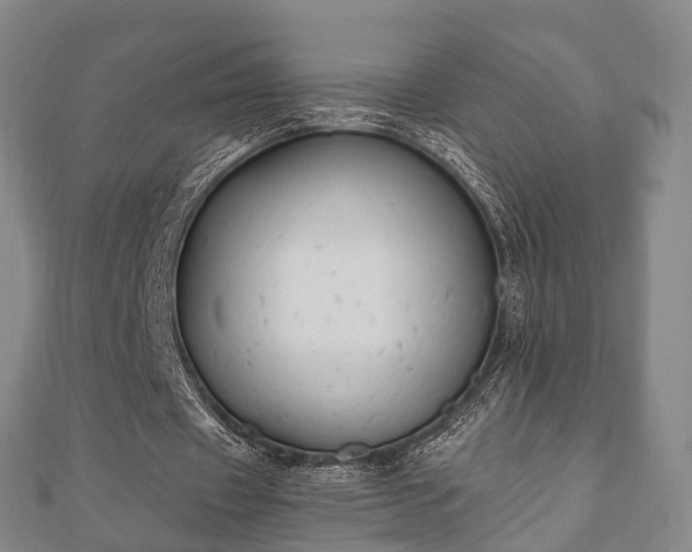 X0000110720433200906191509
