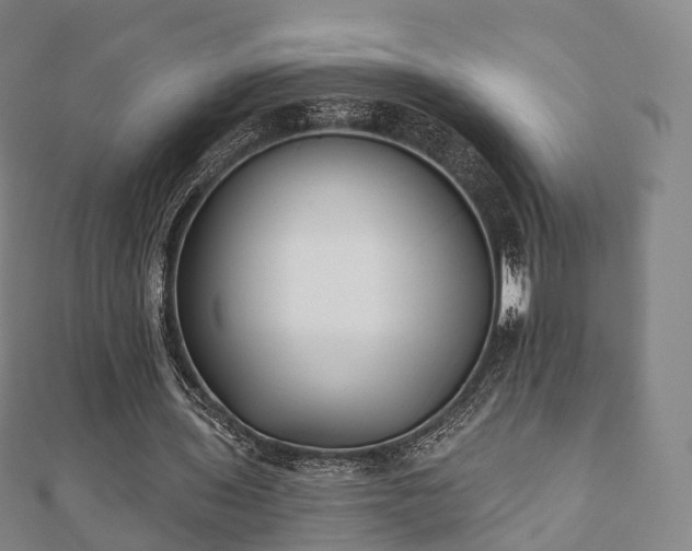 X0000110720435200906191509