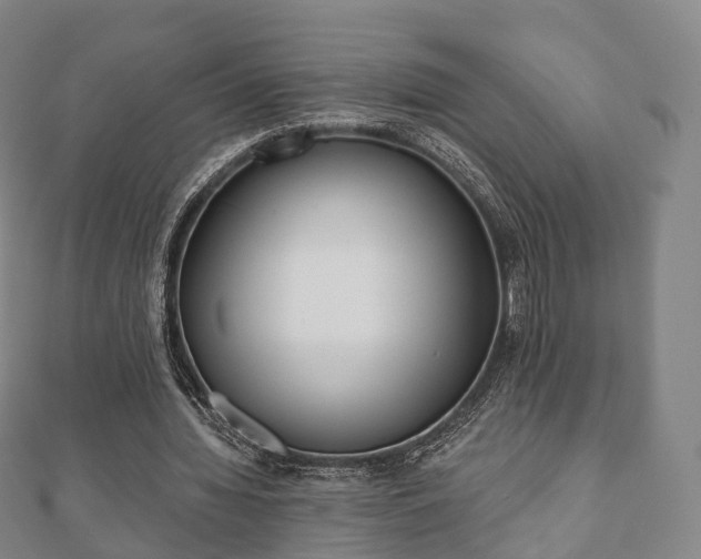 X0000110720436200906191509