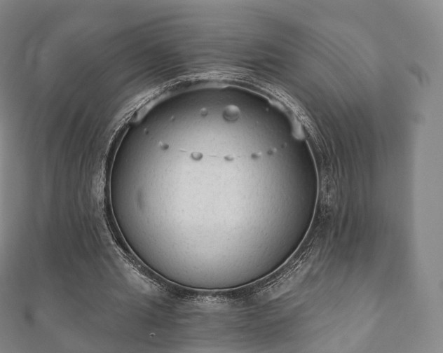 X0000110720437200906191509