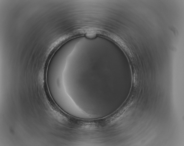 X0000110720438200906191509