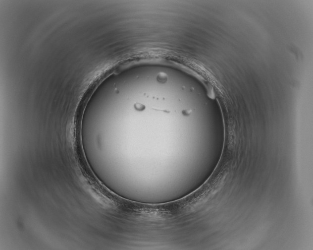 X0000110720439200906191509
