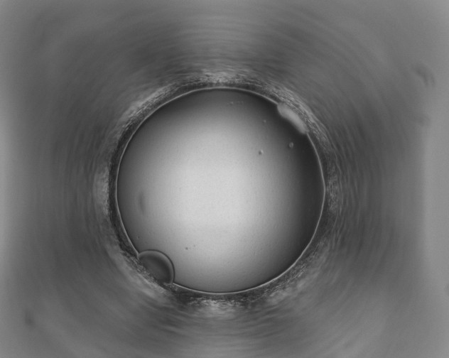 X0000110720442200906191509