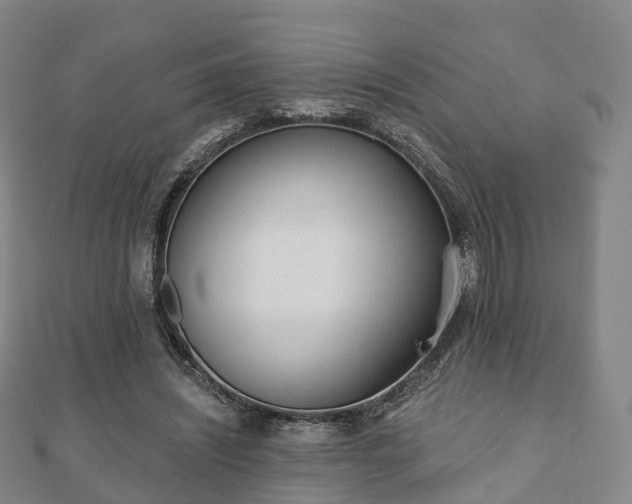 X0000110720444200906191509