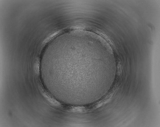 X0000110720446200906191509