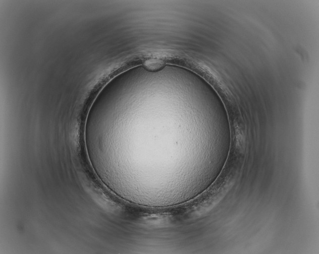 X0000110720447200906191509