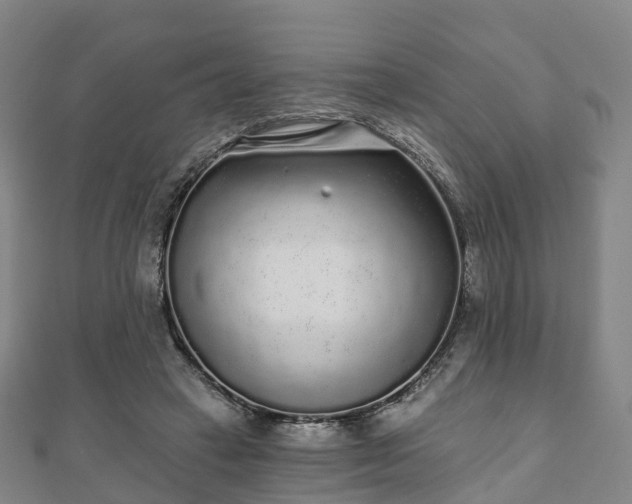 X0000110720449200906191509