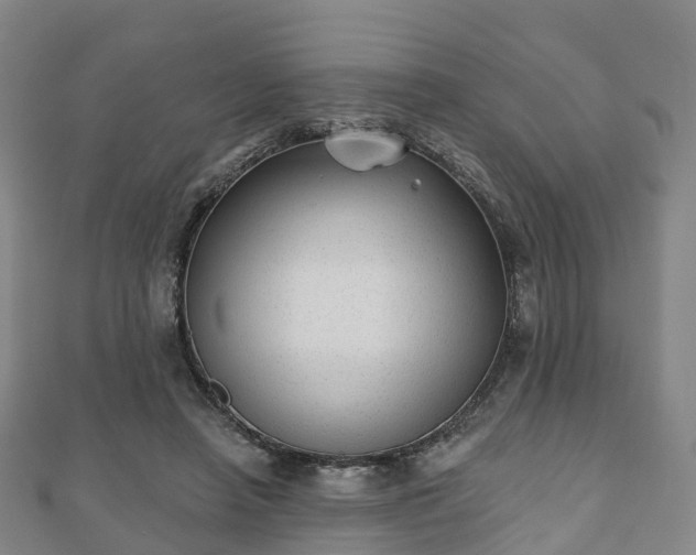 X0000110720450200906191509