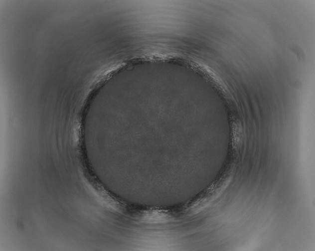 X0000110720451200906191509