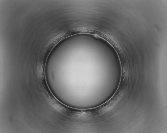 X0000110720453200906191509