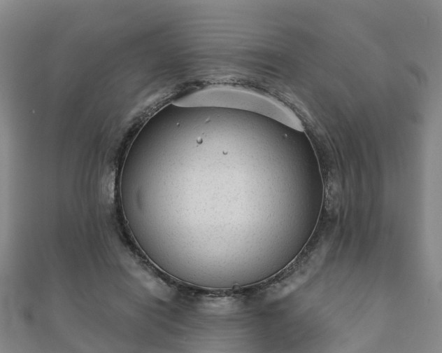 X0000110720454200906191509