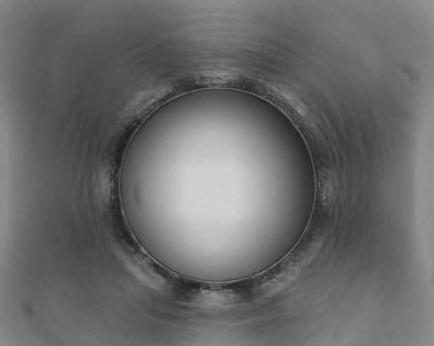 X0000110720455200906191509