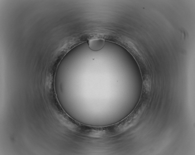 X0000110720458200906191509