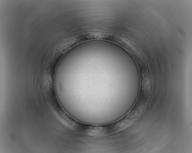X0000110720459200906191509