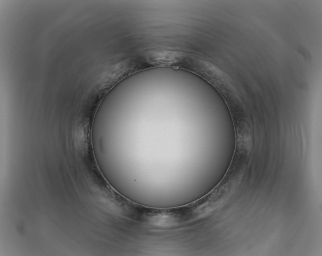 X0000110720460200906191509