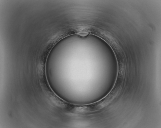 X0000110720461200906191509
