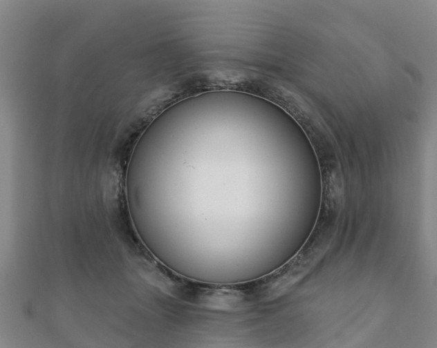 X0000110720463200906191509