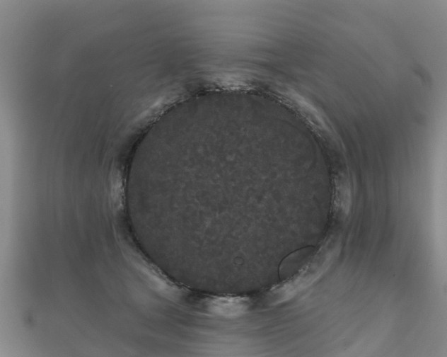X0000110720465200906191509