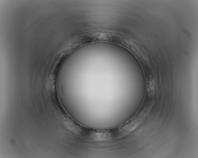 X0000110720466200906191509