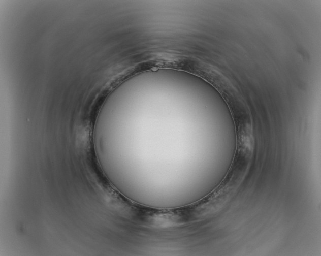 X0000110720468200906191509