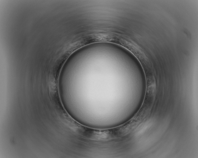 X0000110720469200906191509