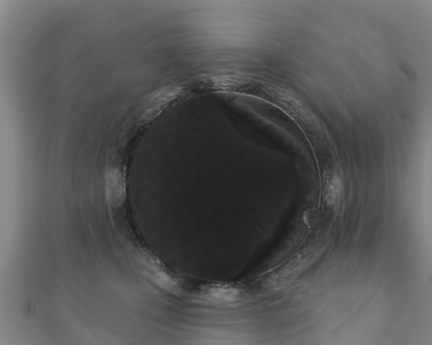 X0000110720471200906191509