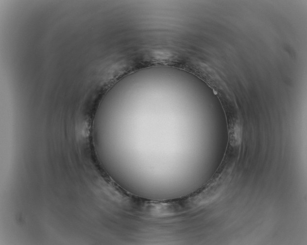 X0000110720472200906191509