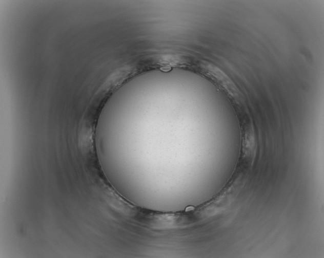 X0000110720473200906191509