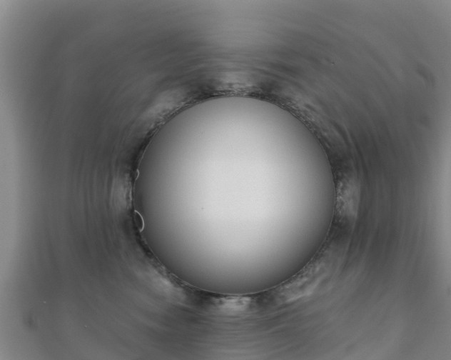 X0000110720474200906191509