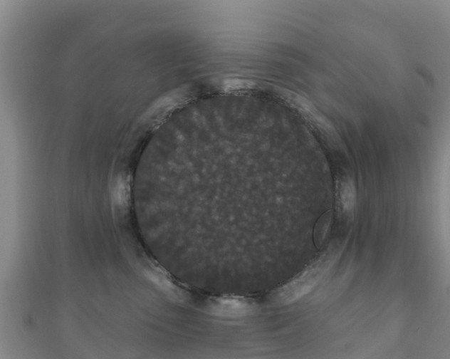 X0000110720475200906191509