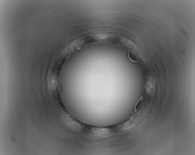 X0000110720476200906191509