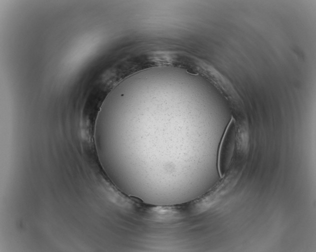X0000110720477200906191509