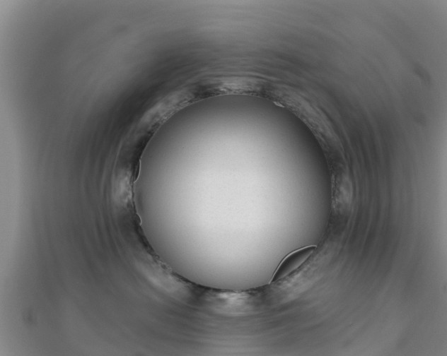 X0000110720478200906191509
