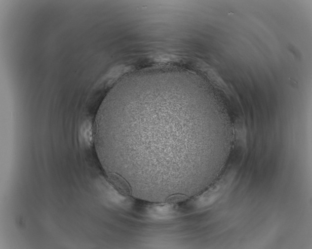 X0000110720479200906191509