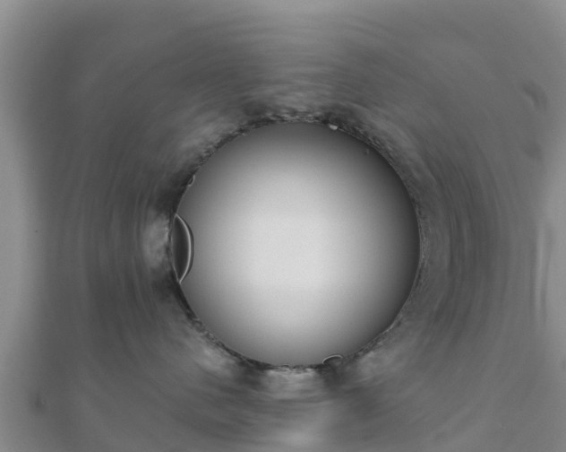 X0000110720480200906191509