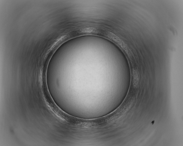 X0000110720482200906191509