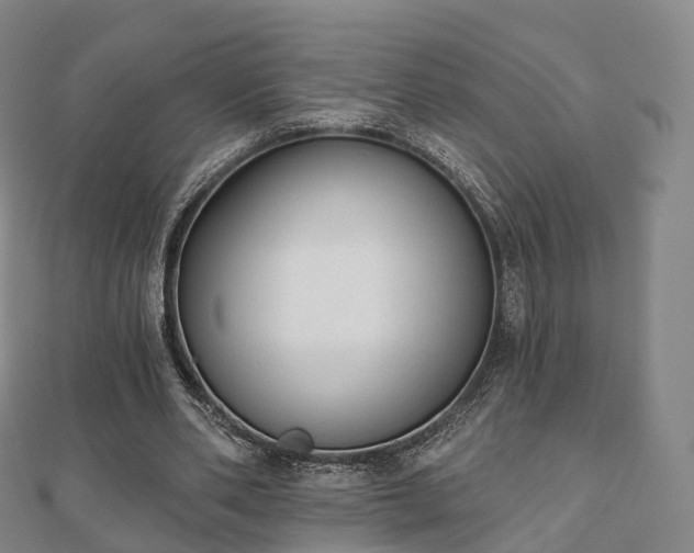 X0000110720486200906191509
