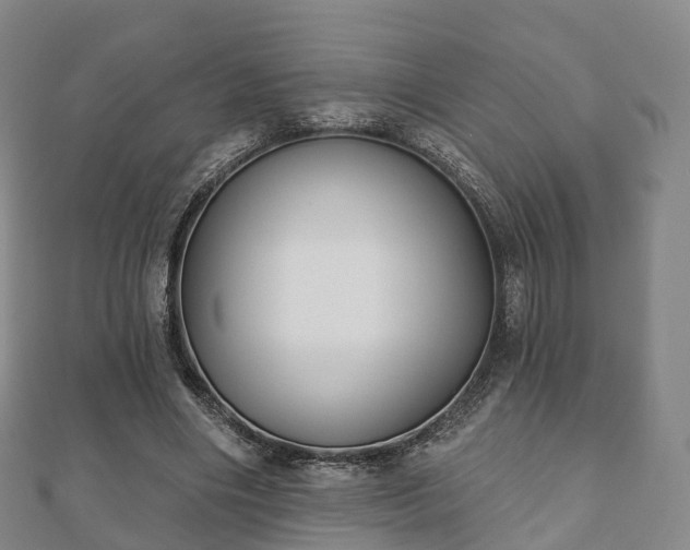 X0000110720490200906191509