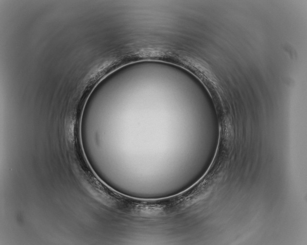 X0000110720491200906191509
