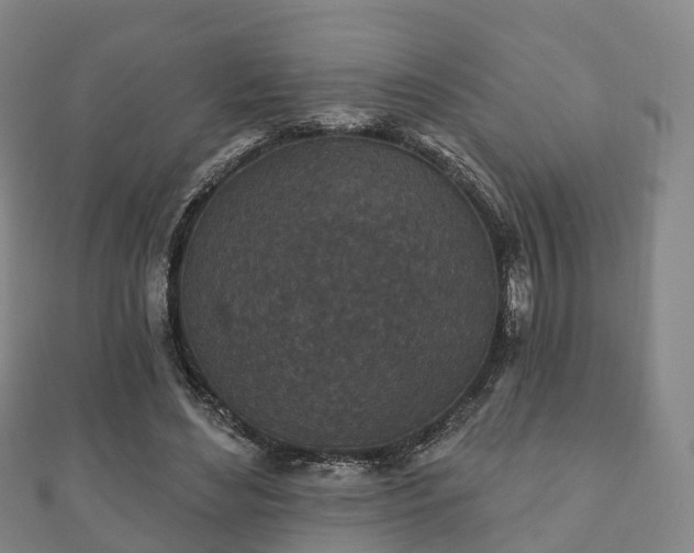 X0000110720492200906191509