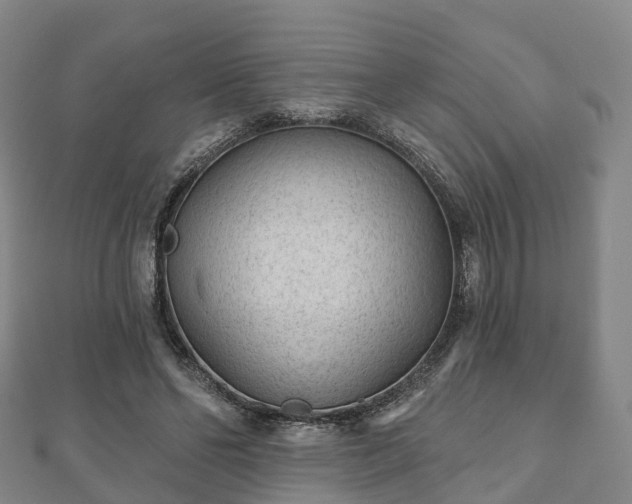X0000110720494200906191509
