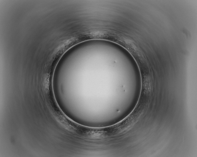 X0000110720495200906191509