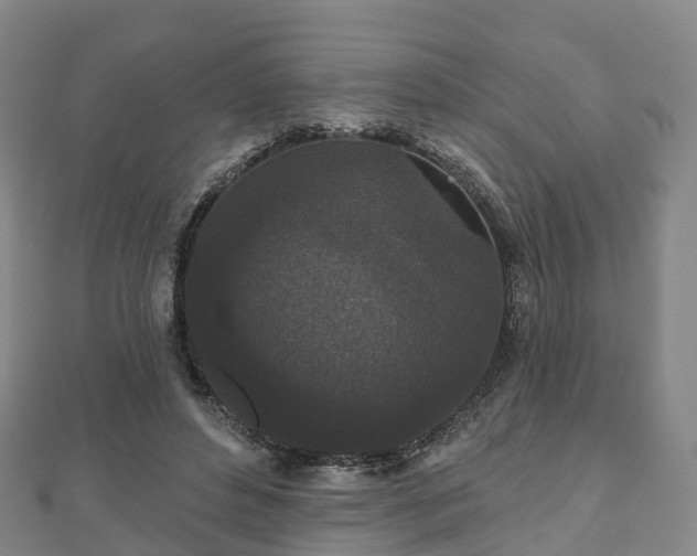 X0000110720496200906191509