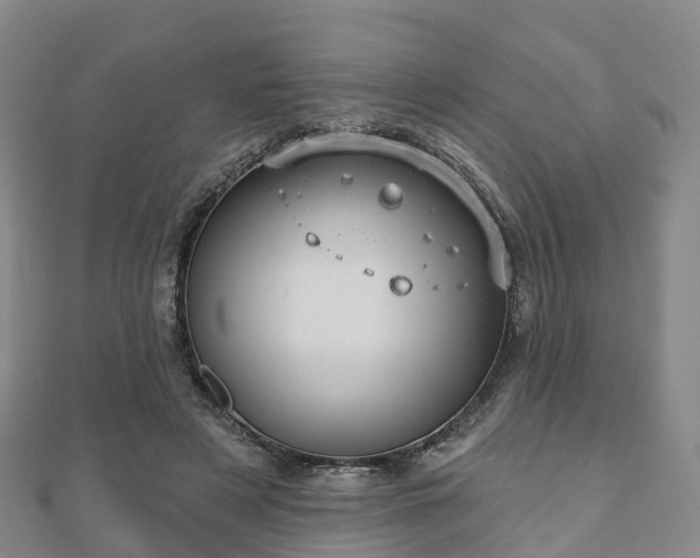 X0000110720497200906191509