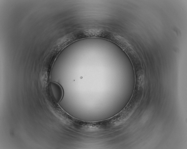 X0000110720498200906191509
