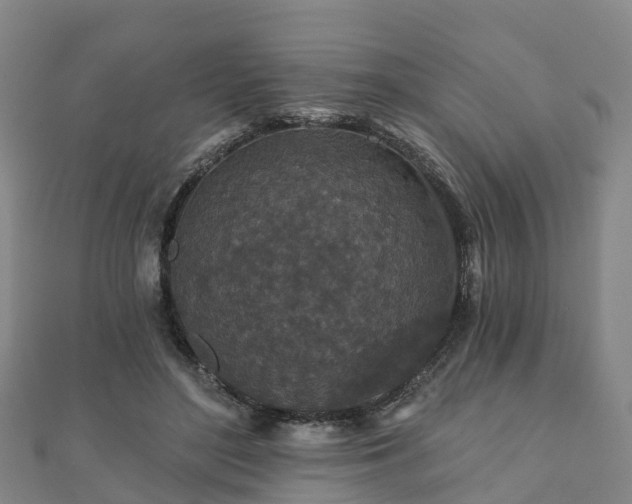 X0000110720500200906191509